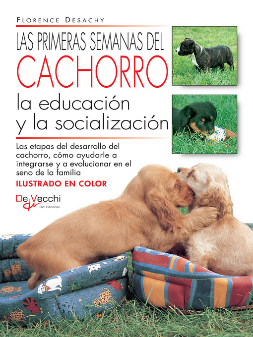 Title details for Las primeras semanas del cachorro by Florence Desachy - Available